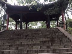 -武侯墓风景区
