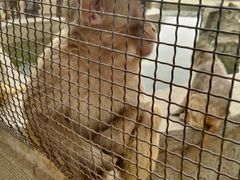 -秦皇岛野生动物园