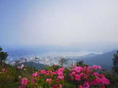 -梧桐山风景名胜区