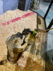 -酷嗒动物文化乐园(cutezoo西溪乐天城店)