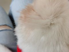 -怪兽屋·羊驼·猫咖·狗咖(俊华广场店)