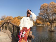 -金塔沙漠胡杨林景区