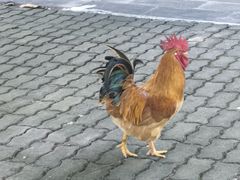 -青青世界