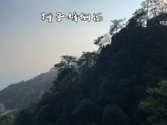 -缙云山景区