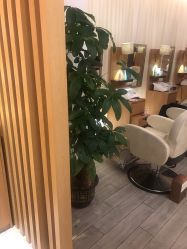 -丝域养发馆