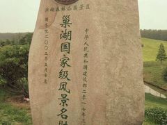 -合肥滨湖国家森林公园