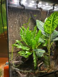 -酷嗒动物文化乐园(cutezoo西溪乐天城店)