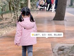 -紫金山天文台
