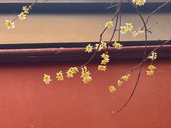 -钱王祠