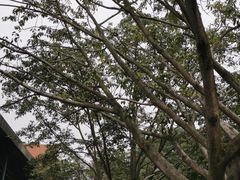 -四川大学(望江校区)