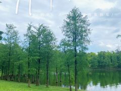 -松山湖风景区松湖烟雨