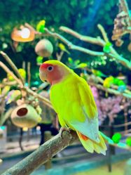 -酷嗒动物文化乐园(cutezoo西溪乐天城店)