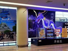 -中部国际机场
