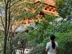 -杭州半山国家森林公园