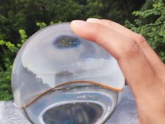 -黄埔油麻山森林公园