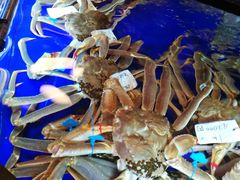 -蟹道乐(道顿堀本店)