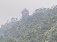-缙云山景区