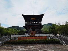 -大唐贡茶院