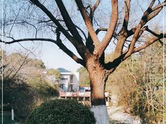-汤山公园