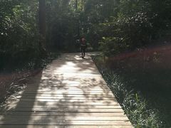 -崇明东平国家森林公园烧烤房车露营地