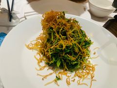 巧拌豆苗-四季民福烤鸭店(王府井灯市口店)