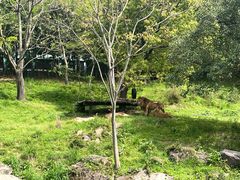 -宁波野生动物园