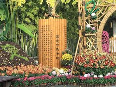 -汇龙潭