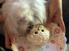 -J Create城市露营咖啡·简餐·宠物(上海动物园店)