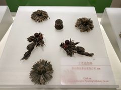 -中国茶叶博物馆(双峰馆区)