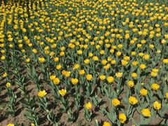 -长春公园(普阳街道)