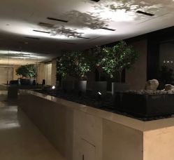 -北京柏悦酒店宴会厅