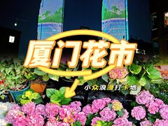 -溪岸路花鸟市场