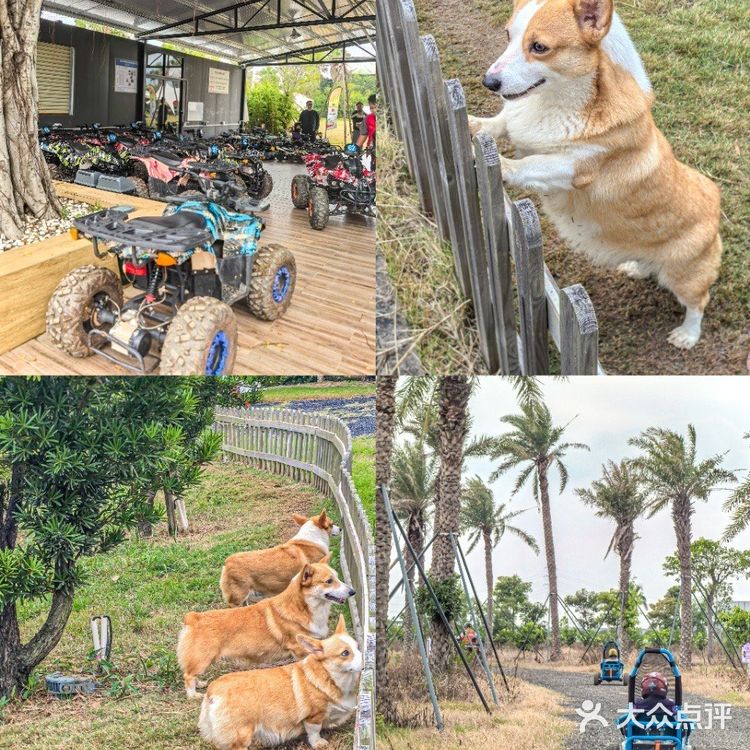 就在珠海!!去班味的天选之地。。。