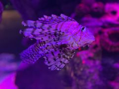 -沈阳海洋探索中心