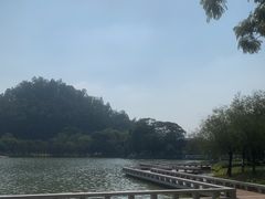 -顺峰山公园