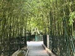-红螺寺