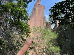 -南山植物园