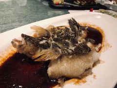 清蒸笋壳鱼-博多新记·粤菜(复兴店)