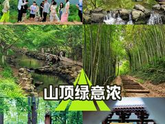 -西湖风景区十里琅珰-五云山