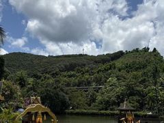 -西双版纳原始森林公园