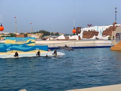 -秦皇岛乐岛海洋王国