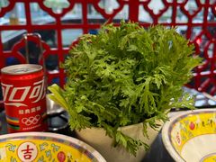 -芦月轩羊蝎子(北蜂窝店)