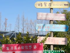 -前小桔亲子创意农场·草莓采摘·露营烧烤