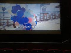 -华谊兄弟影院(IMAX洋桥店)