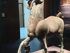 -广西壮族自治区博物馆