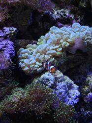 -Zoolung Zoolung动物主题公园(海信广场店)