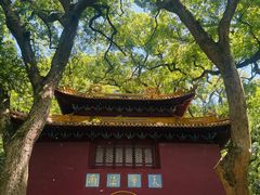 -普陀山风景名胜区-法雨禅寺