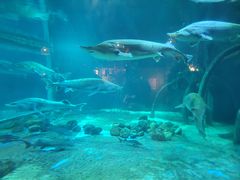 -华夏文旅海洋公园