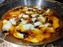 -雲蜀龙阁·金牌水煮鱼(方庄店)