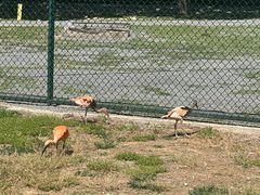 -秦皇岛野生动物园